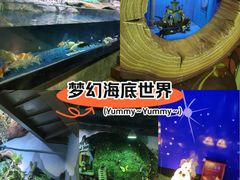 -萌宠奇缘(荣鼎店)