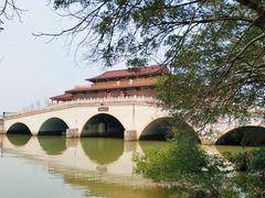 -大湾区中央湿地公园