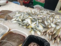 -霞海鸭仔饭店(海滨大道北店)