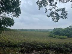 -敬亭山风景名胜区