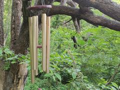 -北京密云天门山风景区