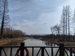 -黄海国家森林公园