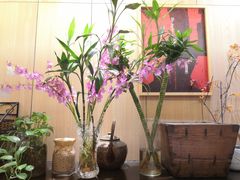 -掌柜的店·河南菜(新天地店)
