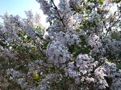 -长春公园(普阳街道)