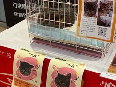 -中海环宇荟