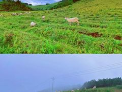 -颛顼龙洞旅游景区