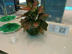 -清颜专业祛痘连锁店
