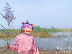 -观澜小洱海