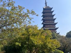 -锡笼记·无锡小笼(方塔店)