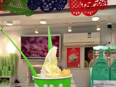 -Salud撒露欧洲冻酸奶(蓝色港湾店)