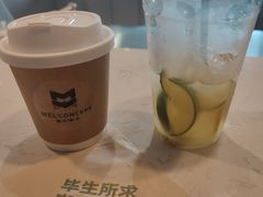 -墨本概念MELCONCEPT