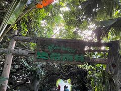 -青青世界