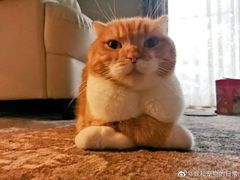 -嘉禾·悦享餐厅(八方汇店)