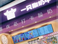 -一只酸奶牛(八一路店)