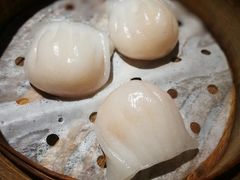 -纽斯特牛排自助餐厅(浦东文峰广场店)
