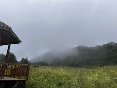 -白草畔自然风景区