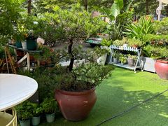 -山水茶艺馆·点心粤菜·30年老字号