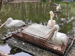 -济南野生动物世界