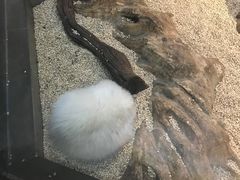 -昆明大悦城未来动物城(螺蛳湾中心店)