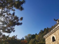 -白水寺森林公园