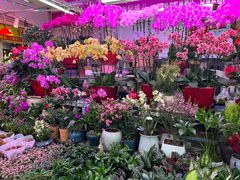 -三旗百汇商品城