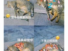 -西园寺