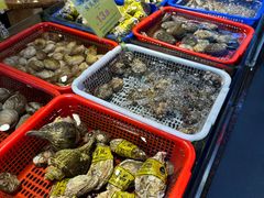 -新金盛·海鲜酒楼(盐田店)