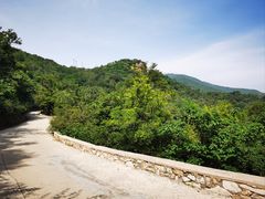 -北京西山国家森林公园