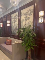 -南京医科大学友谊整形外科医院