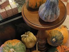 -乡田小墅(展览馆路JK FUN商城店)