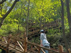 -大岭沟猕猴桃谷风景区