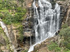 -海南热带雨林国家公园吊罗山景区