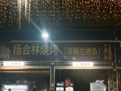 -杨合林啊兰烤鱼