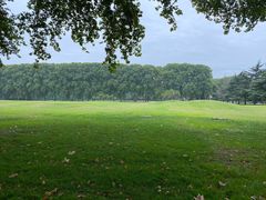 -河南省黄河迎宾馆