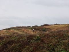 -涉地可支