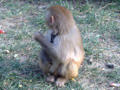 -南京金牛湖风景区