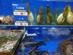 -船梆煮•蒸汽海鲜·生腌干蒸(五四广场店)