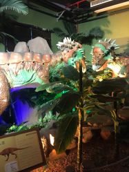 -恐龙探索乐园(磁器口店)