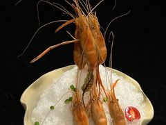-荟廷·晶萃(陆家嘴尚悦湾店)