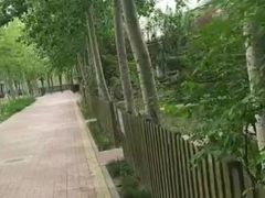 -杨柳青庄园