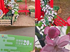 -上海鲜花港