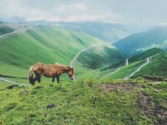 -硗碛藏寨·神木垒景区