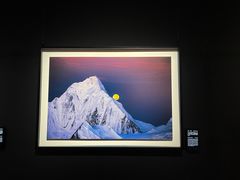 -罗红摄影艺术馆