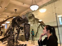 -美国自然历史博物馆