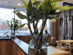 -鸡汤过桥·过桥米线