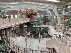 -南宫五洲植物乐园