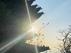 -杭州半山国家森林公园