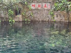 -蝴蝶泉公园