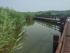 -西青郊野公园