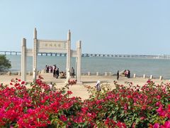 -宝安西湾红树林湿地公园